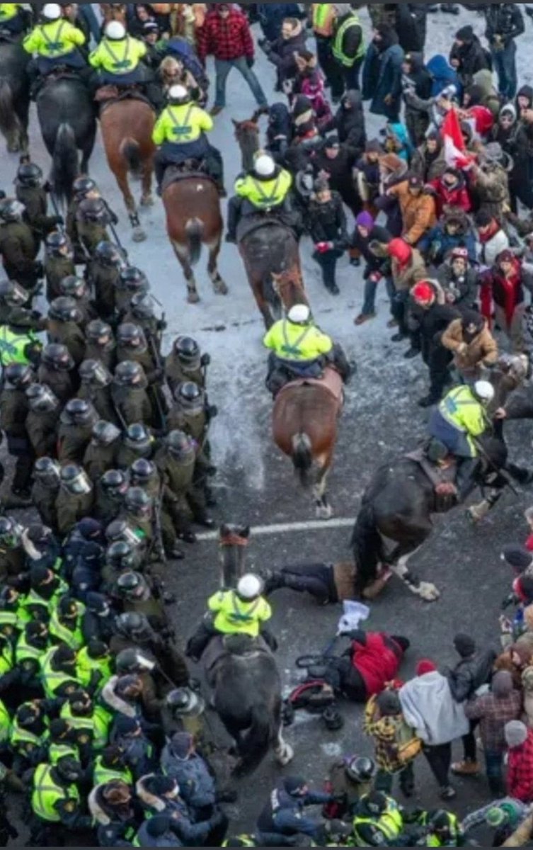 I'm sure MSM won't show what the police are actually doing to the people so here it is. An aerial view of people trampled by #OttawaPolice &amp; their horses.

Share far and wide! Show everyone Trudeau's Canada. 
#TrudeauTyranny