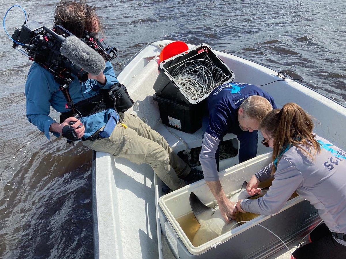 Heithaus Lab tweet media