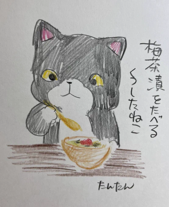 梅茶漬けを食べるくつしたねこ#イラスト #猫 