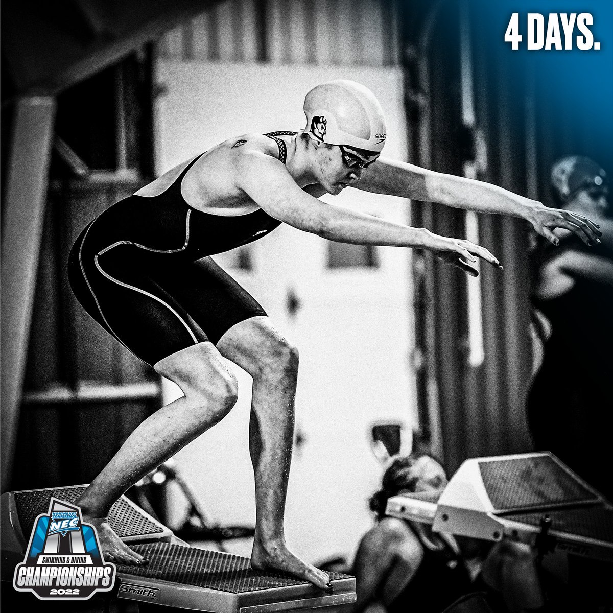 necswimdive's tweet photo. Reigning #NECswimdive Most Outstanding Swimmer Jeanette King has captured 4️⃣ conference championships during her impressive career at @CCSUswimanddive.

4️⃣ MORE DAYS. 🏆 https://t.co/jNjpzA9fyW