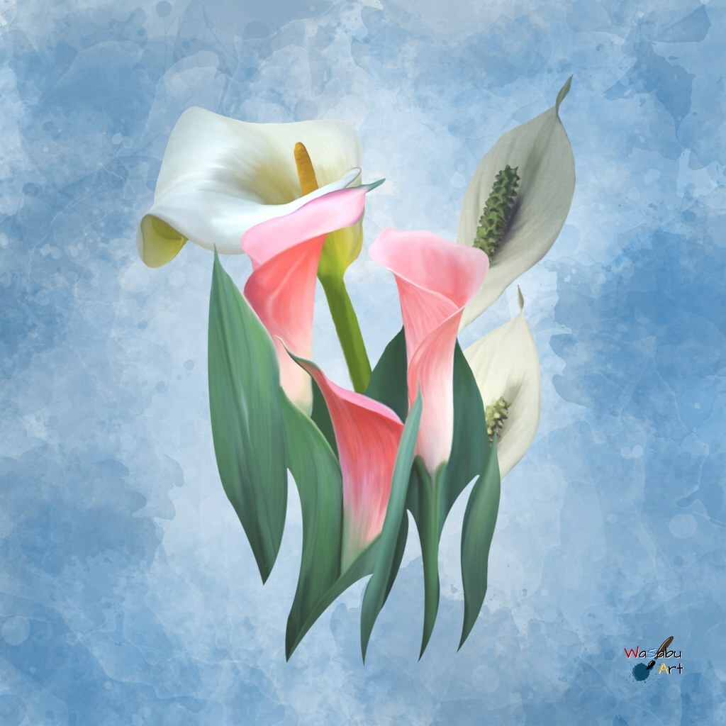 wasabuart's tweet photo. Calla 2 - I really like this flower. Reason enough to paint it twice :-) https://t.co/ixhQvsCPbm - #redbubble #painting #art #artwork #procreate #drawing #paintedonipad #fashion #clothing #homedecor #cooking #decoration #design #style https://t.co/B92VvSC7nX