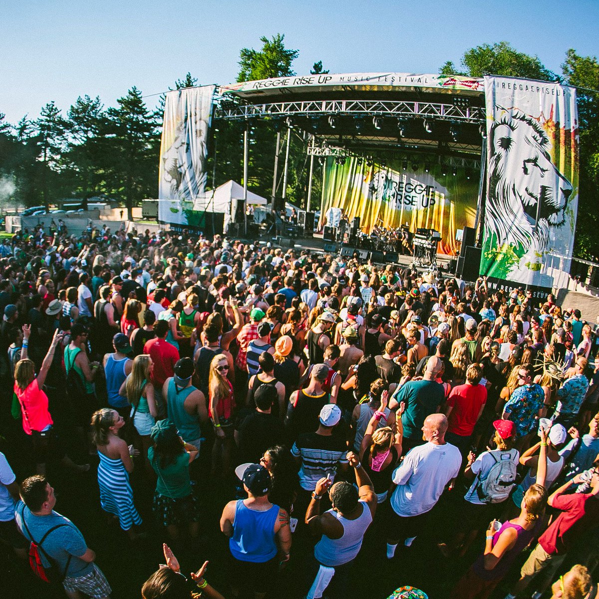 Reggae Rise Up tweet media