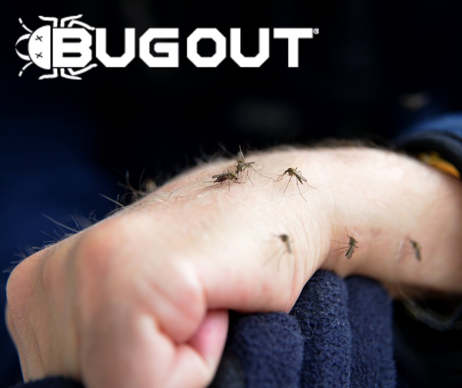 BugOut_Service's tweet image. These ‘Friendly’ Insects Could Make Our Most Deadly, Destructive Pests Drop Like Flies. Read More Below!

Need mosquito control? Visit bugoutservice.com/mosquito-contr… NOW!

Article:
sustainablebrands.com/read/cleantech…