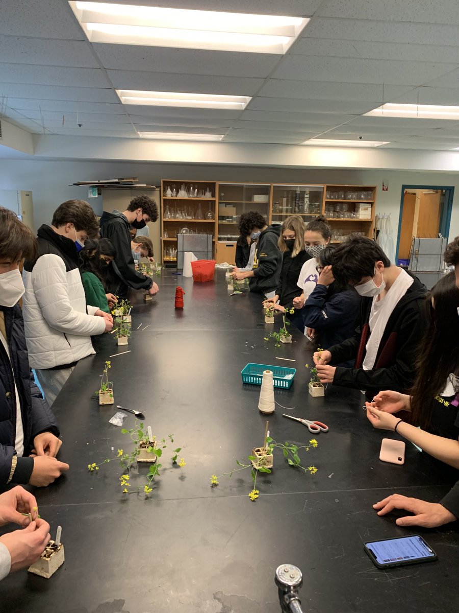 Steve Sanborn tweet media