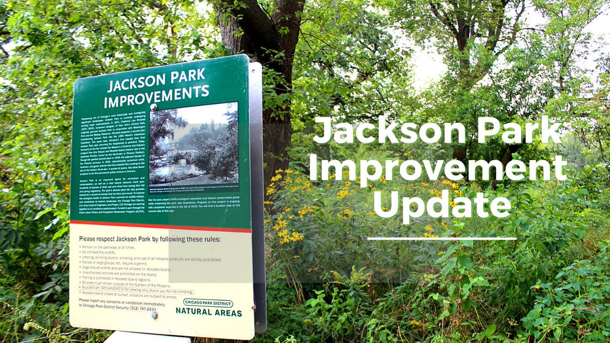ChicagoParks's tweet photo. Site preparation work is scheduled to begin next week on @ChicagoDOT's Jackson Park Mobility Improvements Project. Daily off-peak lane closures are expected on Stony Island Ave., Hayes Dr. &amp; S. DuSable Lake Shore Drive thru mid-March. For updates ⏩https://t.co/RElWFjUqeJ. https://t.co/GxMluurbQm