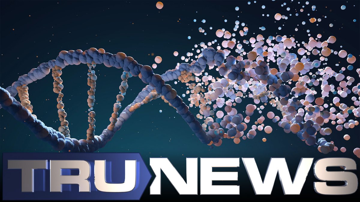 TruNews's tweet photo. Todd Callender: Genetic-altering Vaccines Could Nullify Human Rights
#TruNews #ToddCallender #GeneticAlteringVaccines #GeneticAltering #HumanRights #HumanDNA #OperatingSystem #DN #mRNA
https://t.co/CgSJhQVeGD https://t.co/3dVuba0G8r