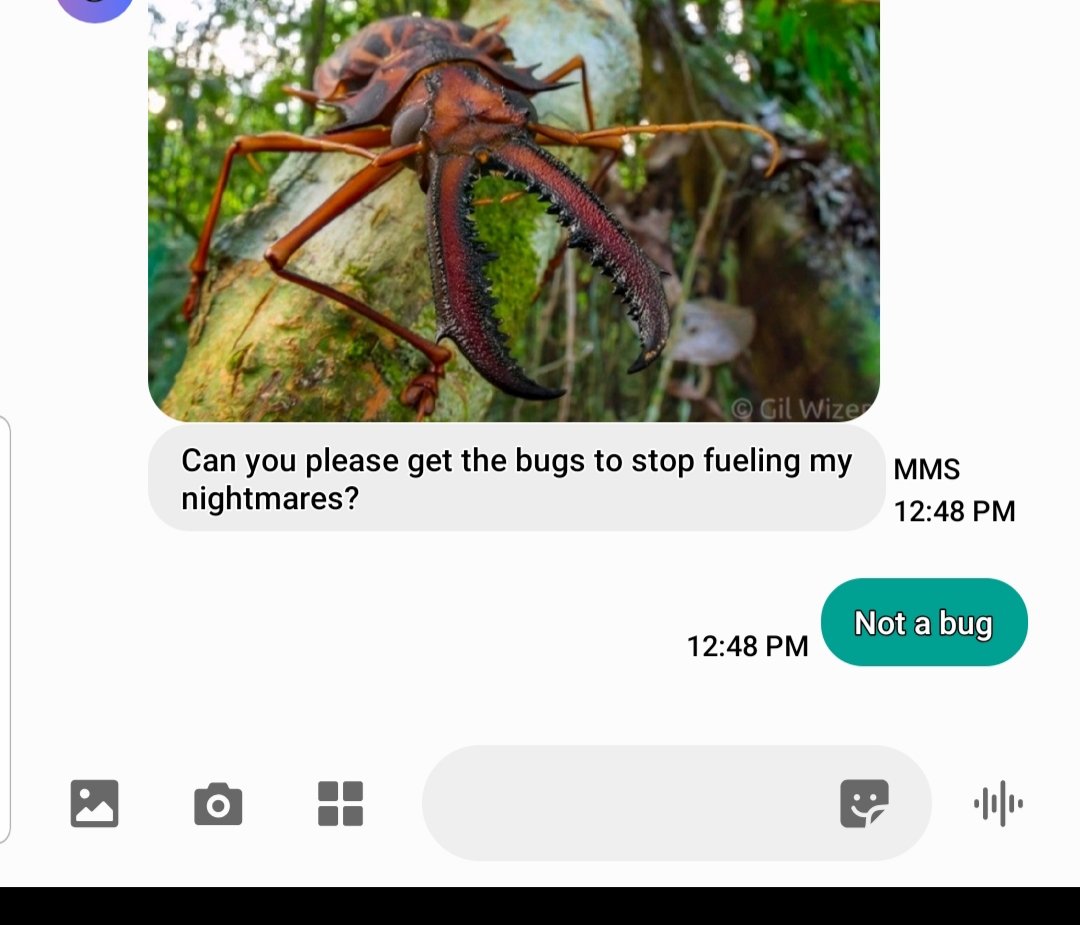 Every entomologist interacting with the rest of the world: