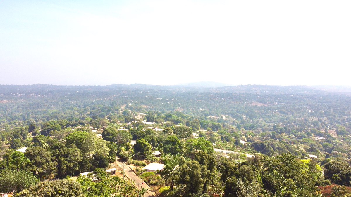 dachi_prince's tweet photo. The beauty of Cameroon 🇨🇲 🇨🇲🇨🇲
The highlands of the West Region
Author/ #drone #Pilot @dachi_prince 

Material : #DJI Mini
Image subject to copyright : Yes https://t.co/zC21APnGQW