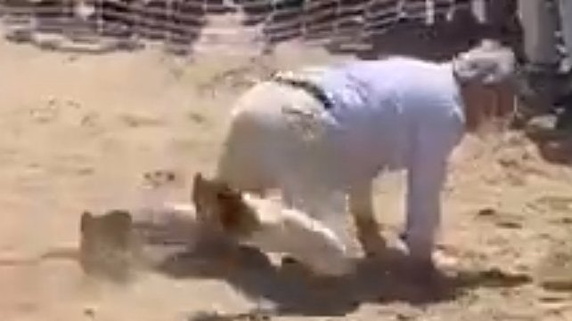 -No, no me jode, así entro al despacho de Cristina.