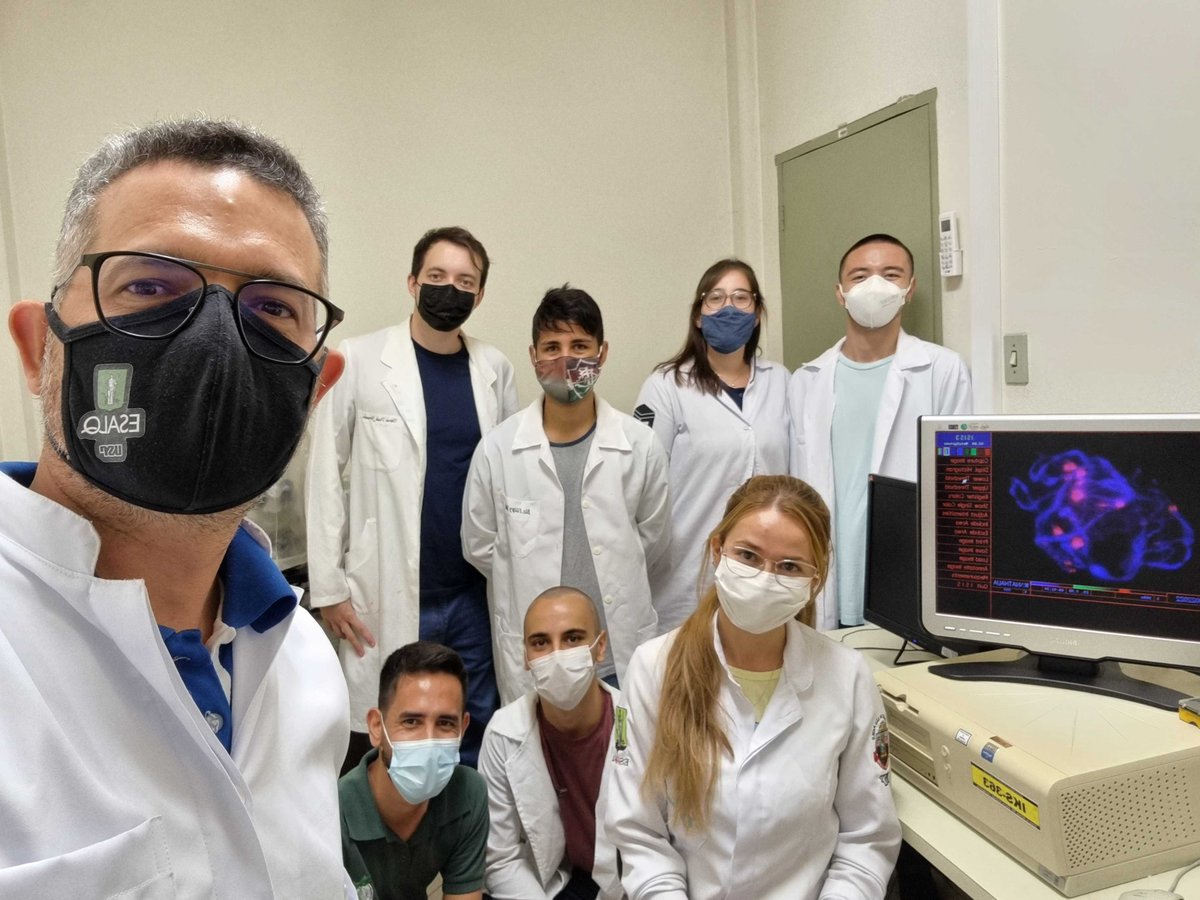 Citogenetica's tweet photo. Genome Dark Matter #Episode1:
The first FISH is unforgettable! Nathalia Tostes gave us the first in situ hybridization in #tomato #chromosomes using a #satDNA. This is also our first step in the journey to make in the #genome #editing. https://t.co/Rwd4NzgyuZ