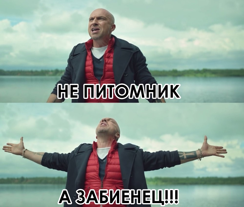PlantShip's tweet photo. #Zabieniec предлагает #хвойные и #лиственные декоративные #кустарники и #деревья, а также #травы, предназначенные для посадки в садах, зонах отдыха, на балконах и террасах. Имеется большой выбор растений для городских условий.

https://t.co/wy6u2oLXLS

#доставкарастений #плантшип https://t.co/h8lkh0bKsu