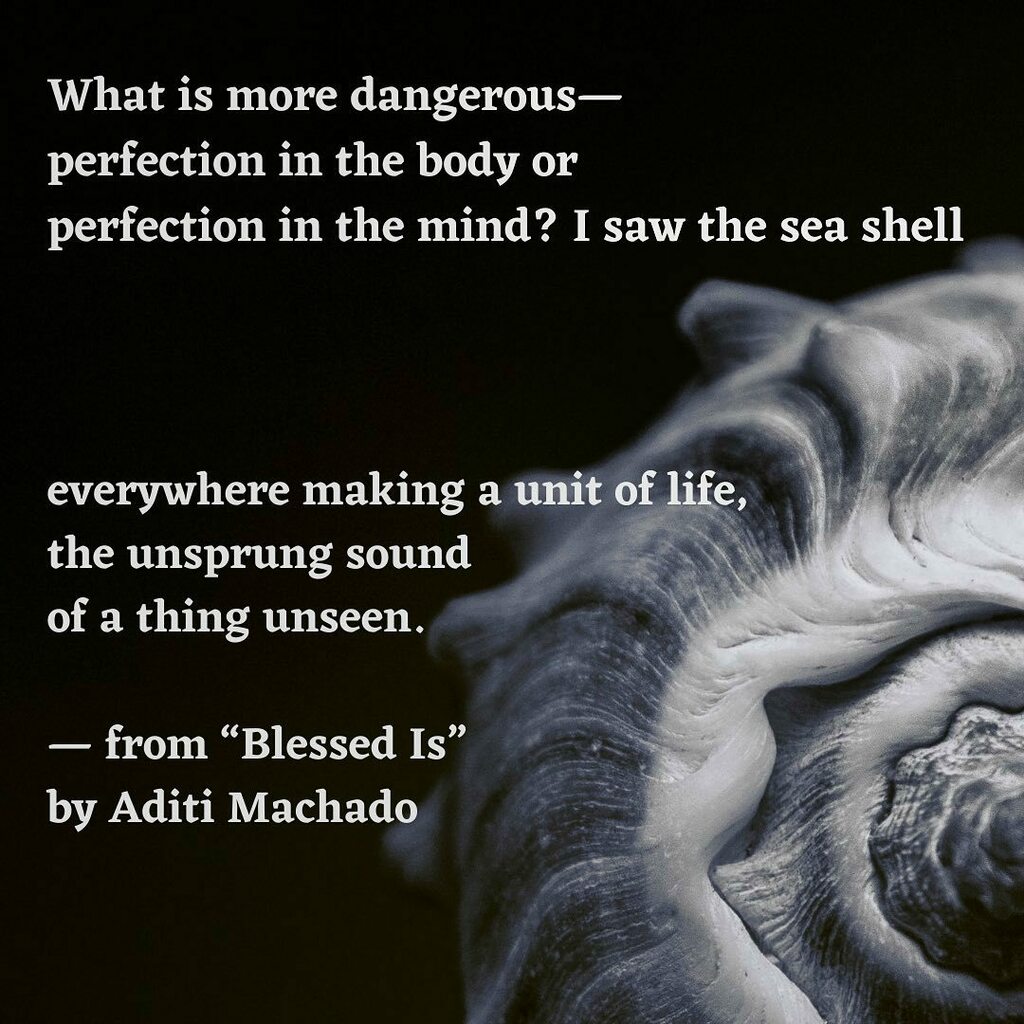 offendingadam's tweet photo. What is more dangerous—
perfection in the body or
perfection in the mind? I saw the sea shell

everywhere making a unit of life,
the unsprung sound
of a thing unseen.
— from “Blessed Is” by Aditi Machado

Read the rest at https://t.co/yGaAfTmlMv https://t.co/9KrbxYED2W https://t.co/RaNRmfdxT3