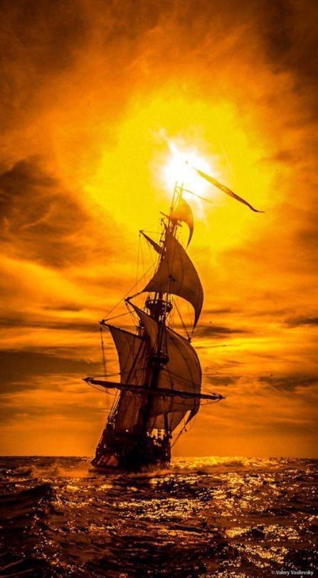 "  هناك من نقابلهم صدفه ... ولا ننساهم ، 
   هناك من نعيش معهم .......... ولا نراهم ، 
   هناك من نشتاق لهم ....... ولا يشعرون بنا ، 
   هناك من يشتاقون لنا .......... ولا نشعر بهم ، 
   هناك من نفقدهم ......... وهم بيننا ، 
    و هناك من نفقد أنفسنا .... ونحن معهم ❣️