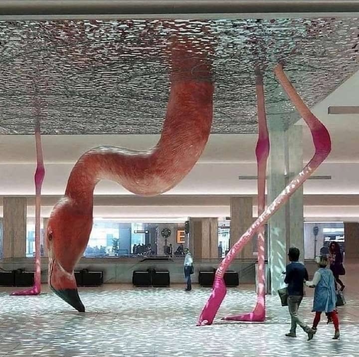 ZaraJFermin's tweet photo. Qué belleza esta escultura de flamingo 🦩 en el Aeropuerto Internacional de Tampa https://t.co/h2i6rQ7KBM