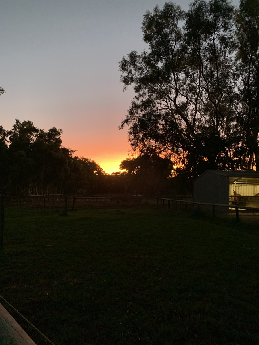 KatWarwick2's tweet photo. Sunrise before another stinker https://t.co/HTOCaHPfVu