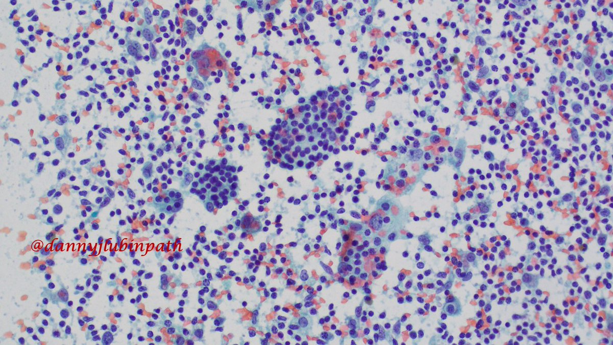 Emory Cytopathology tweet media