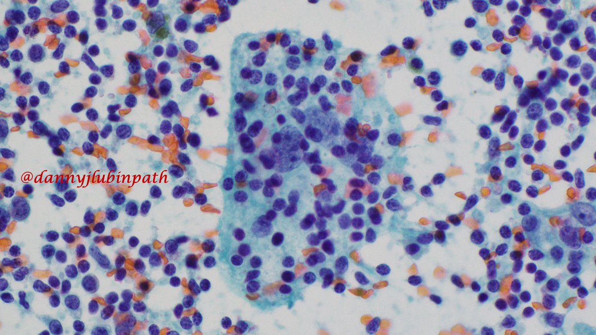 Emory Cytopathology tweet media