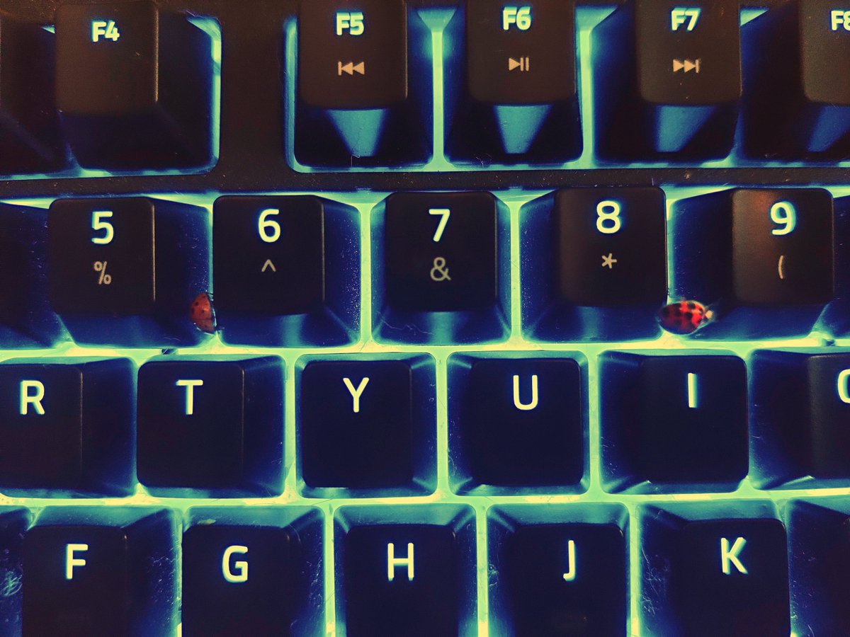 BxDPRESS's tweet photo. Computer's a bit buggy today #SpringIsComing https://t.co/YIJihqGwMq