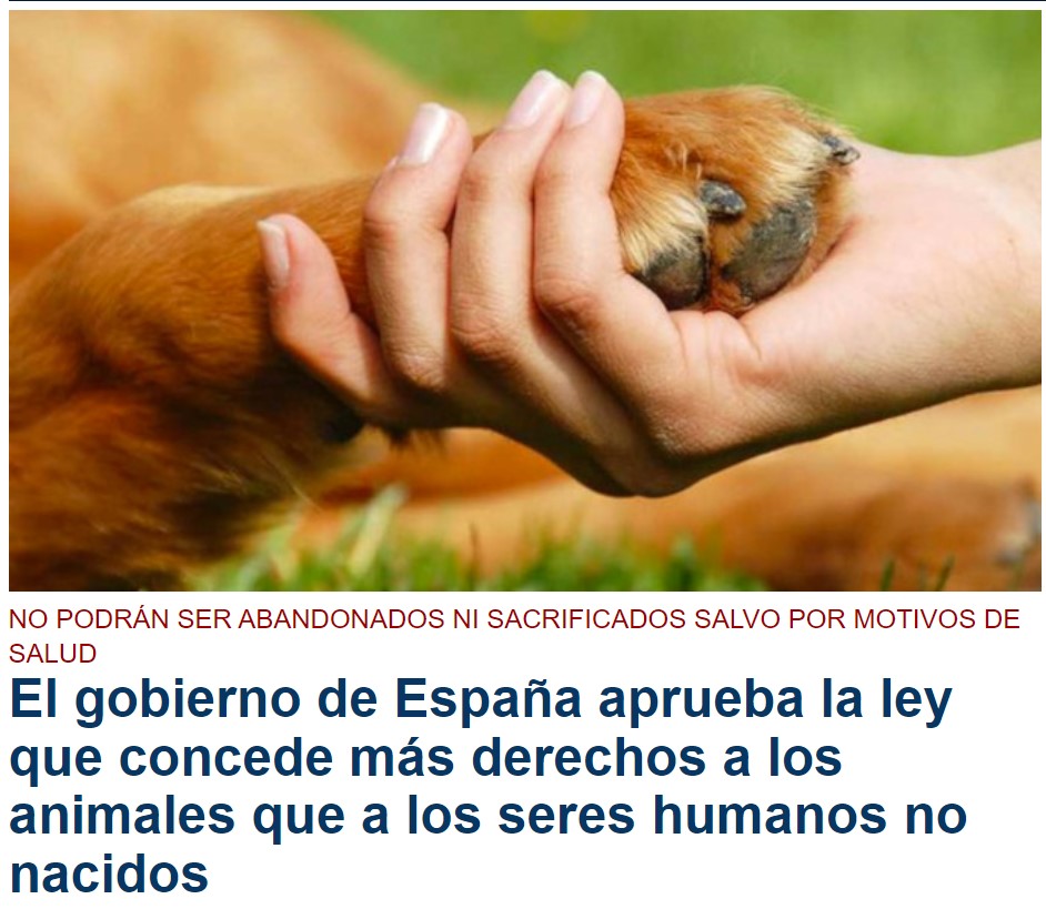 Un dato para la historia: Hitler promulgó el 24 de noviembre de 1933 una ley pionera contra el maltrato animal.
Lo paradójico es que aplicó tanta energía en la protección de los animales como en la aniquilación de la humanidad no aria.