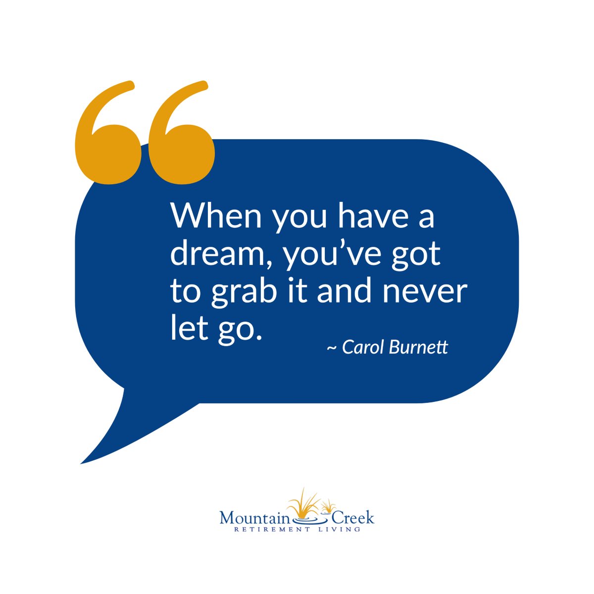 Mountain Creek (Mountain_Creek_) Twitter