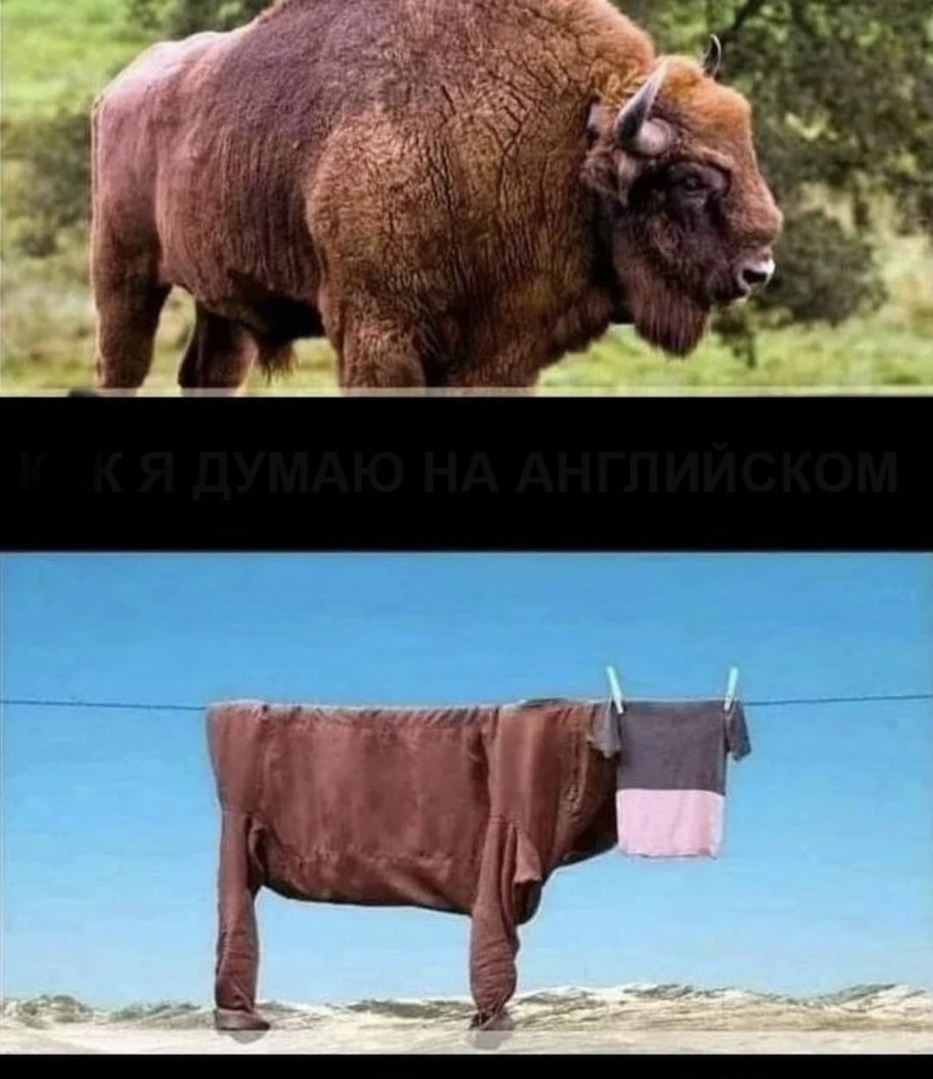 #BTC BULLS 1 YEAR AGO VS BULLS TODAY: