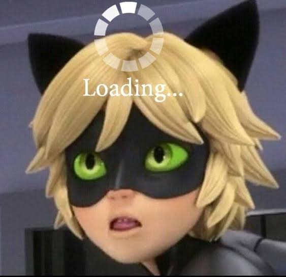 lobmor's tweet photo. ¿SABIAS QUE 8 DE CADA DIEZ CHATNOIR ES MIO?🤭😅😋 https://t.co/SUxJ4LZlIV