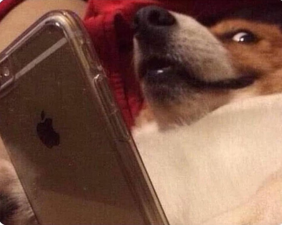 Guarromantico_'s tweet photo. Cuando le mandas un meme a alguien en la misma habitación y esperas su reacción. https://t.co/0GbuEPv02Q