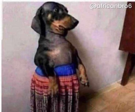 Futminna girls on social media..... NEVER ATTRACTIVE #futminnaVSuniabuja