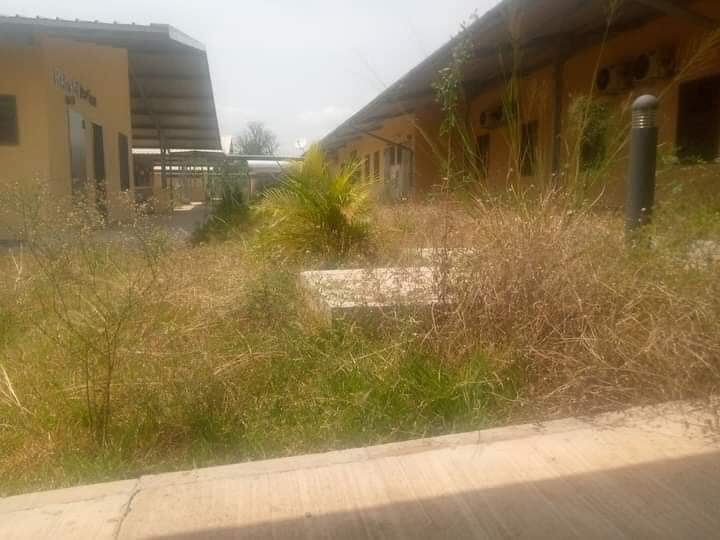 PRINCE HENRY KOFORIDUA 🇬🇭💯's tweet - "Yilo Krobo District hospital built  with Tax payer money under John Mahama @JDMahama led NDC @OfficialNDCGh  government left to rot in the Bush. Very pathetic and