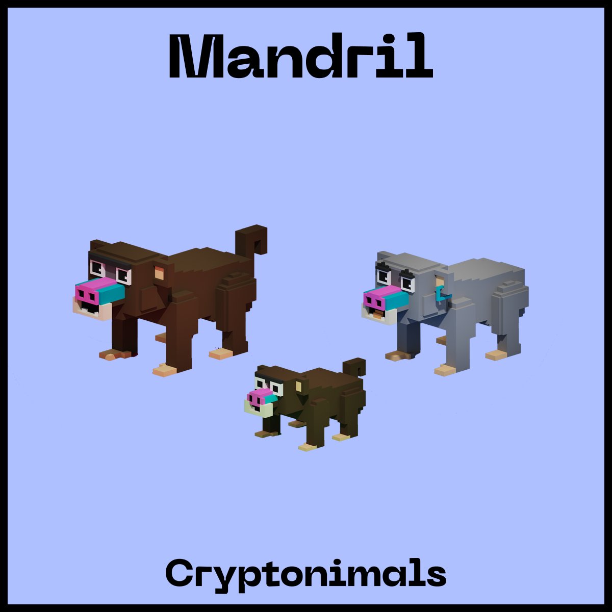 cryptonimals's tweet photo. Donate to NGOs by adopting a Cryptonimals. 

- 50% of all first sales will go to NGOs. 
- 5% of all secondary sales will go to NGOs.

We must protect them to save them! 

Visit our website for more info: https://t.co/RzvcqcVLud https://t.co/DLyFAudWEU