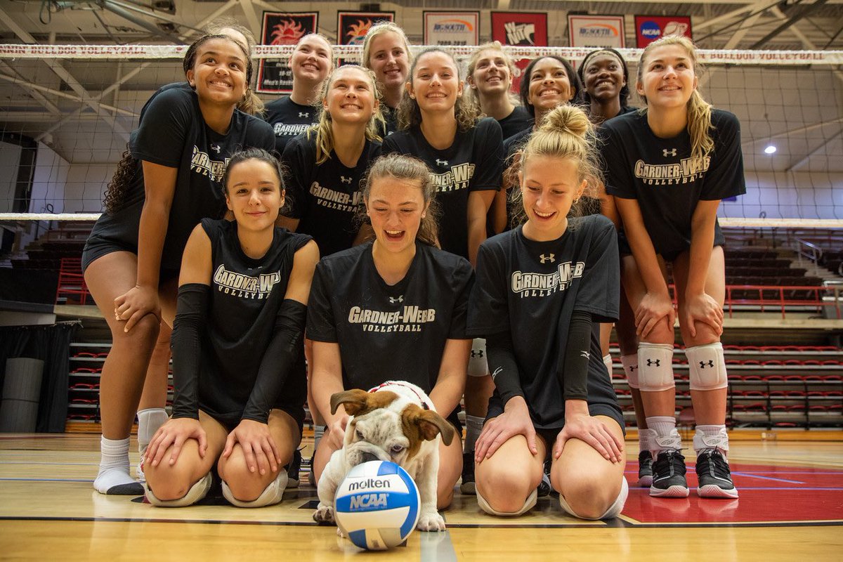 GWU_VB's tweet photo. We may be able to help with this ✊

𝐕𝐎𝐓𝐄 𝐁𝐎‼️ @TheGWUBulldog https://t.co/VFsiQ60t82