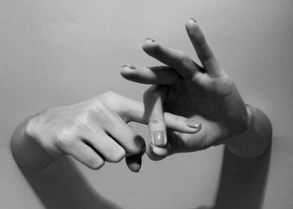 Archillect tweet media