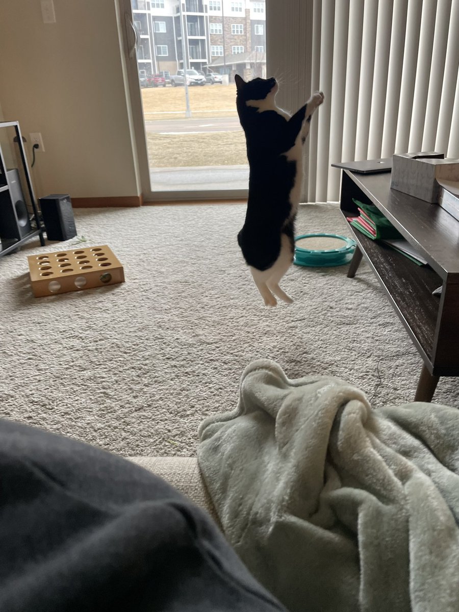 erickamuc's tweet photo. she’s strong she’s graceful https://t.co/dLaLBr7FPU
