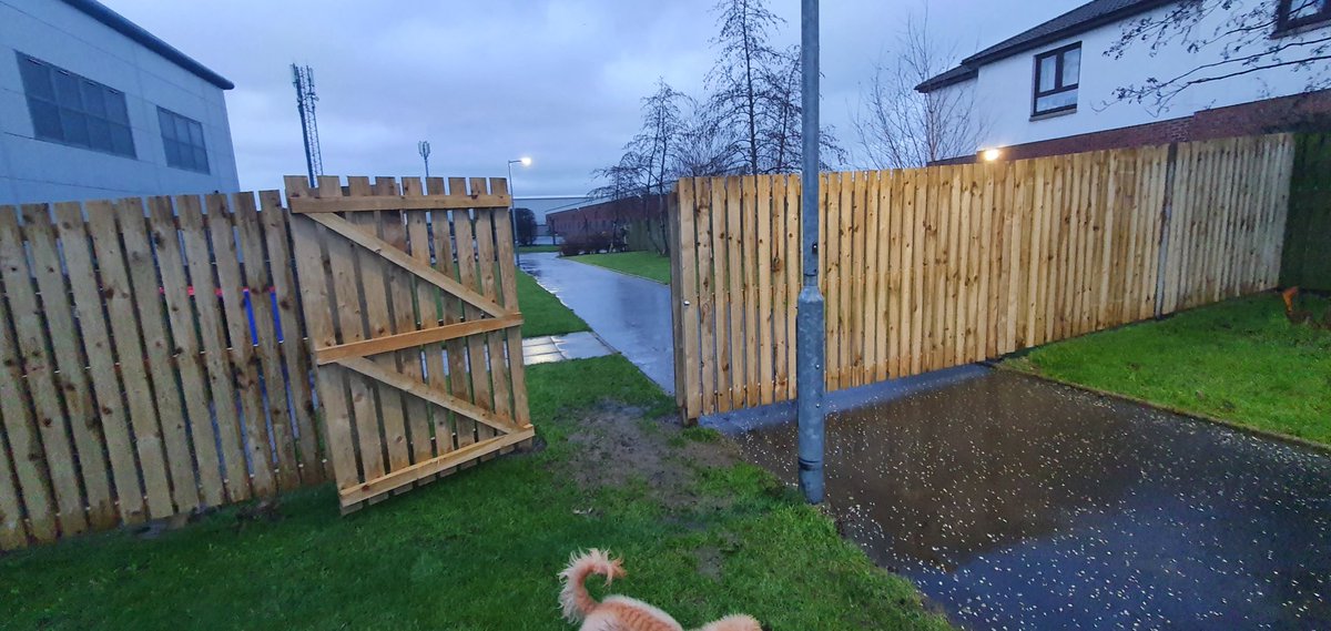 stevenngibbs's tweet photo. #gateoftheday https://t.co/mCNt8FGMSV