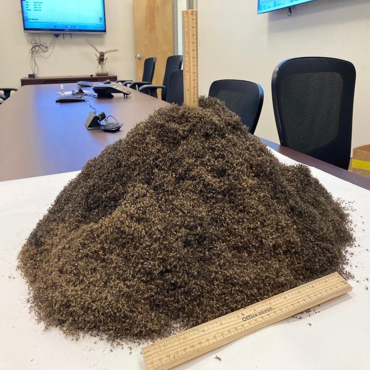 Сто миллиардов. 000. 000. 000. Как выглядит 1 миллиард долларов наличными.