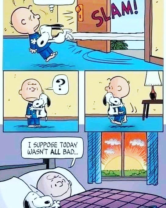 Snoopyfansworld's tweet photo. #Snoopy https://t.co/0SZZnwT3Nd