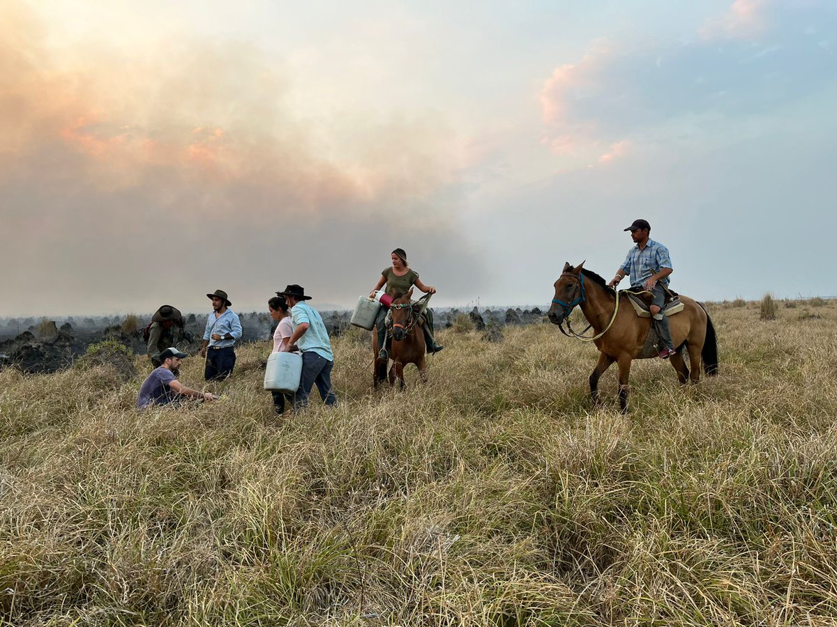 #AHORA 

Jóvenes comprometidos con el campo, la ruralidad y su tierra. 

Integrantes del <a href="/AteneoSRCtes/">Ateneo SR Corrientes</a> y la <a href="/BrafordArg/">Braford Argentina</a> también se encuentran en el territorio intentando apagar el fuego en #Corrientes. 

Jóvenes con valores y que ayudan en comunidad. 
Trabajamos codo a codo