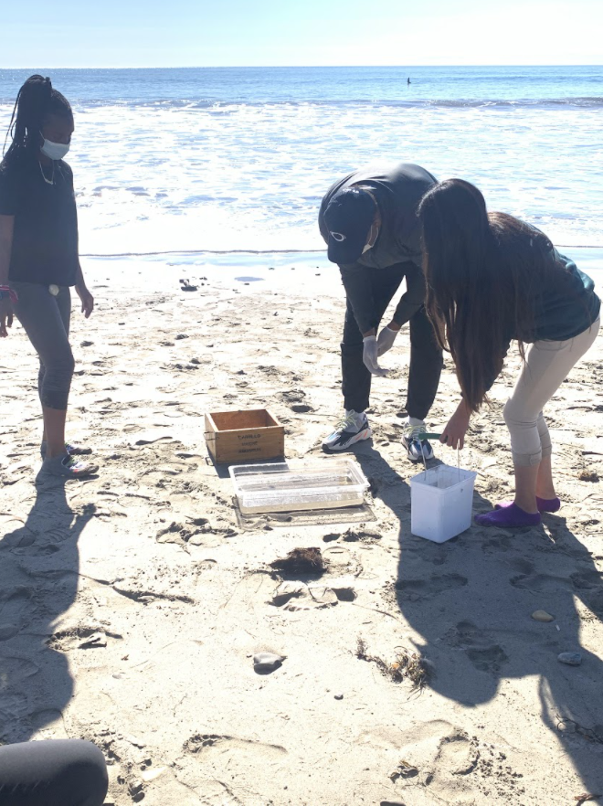 Recently, our students at ECMS-Inglewood participated in an impactful event as part of <a href="/NFLGreen/">NFL Green</a>  with <a href="/forceblueteam/">FORCE BLUE</a>  #cabrilloaquarium <a href="/LASuperBowlHC/">LA Super Bowl Host Committee</a>  and our friends at <a href="/SMBRF/">The Bay Foundation</a>  
ECMS-Inglewood students removed a total of 8 lbs of micro debris from Cabrillo Beach!