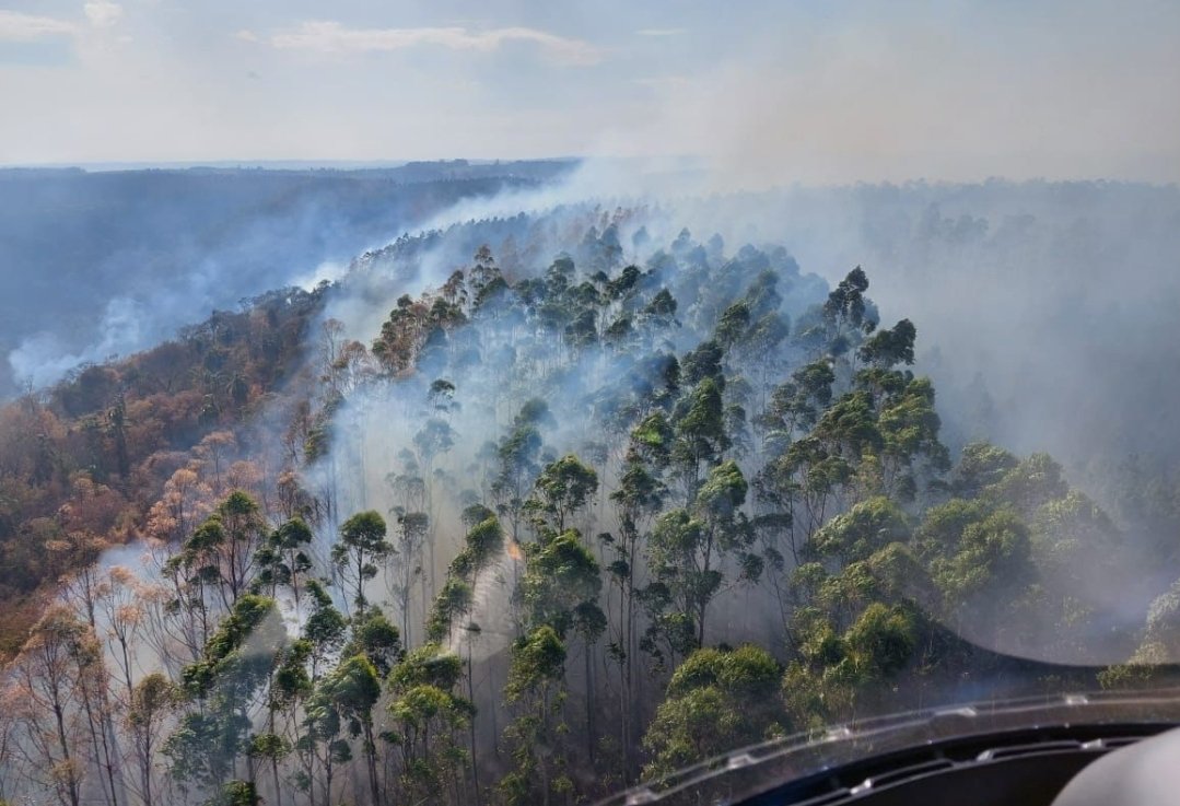 JProArg's tweet photo. Más de 500 mil hectáreas quemadas en la provincia de Corrientes y Cabandie aparece después de casi 3 meses de constantes incendios! https://t.co/n6UOLkryKA