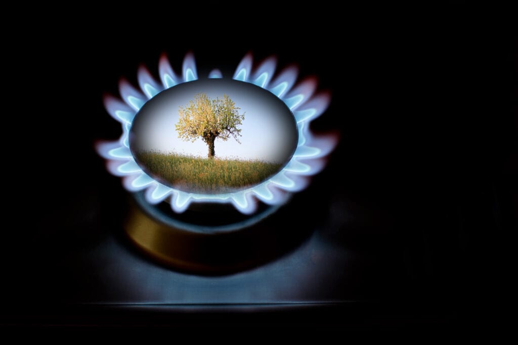 pstrust's tweet image. The application deadline for our program manager positions is today! 

Apply at the link below. 👇

pstrust.org/about/employme…

#pstrust, #pipelinesafety, #watchdog