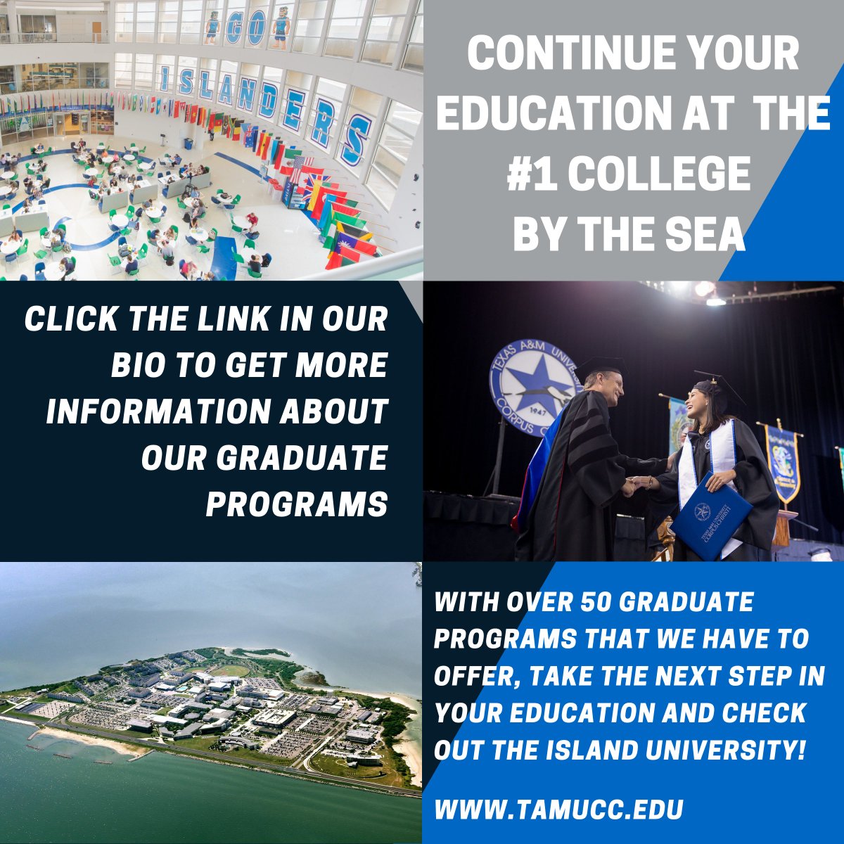 TAMU-CC Graduate Admissions tweet media