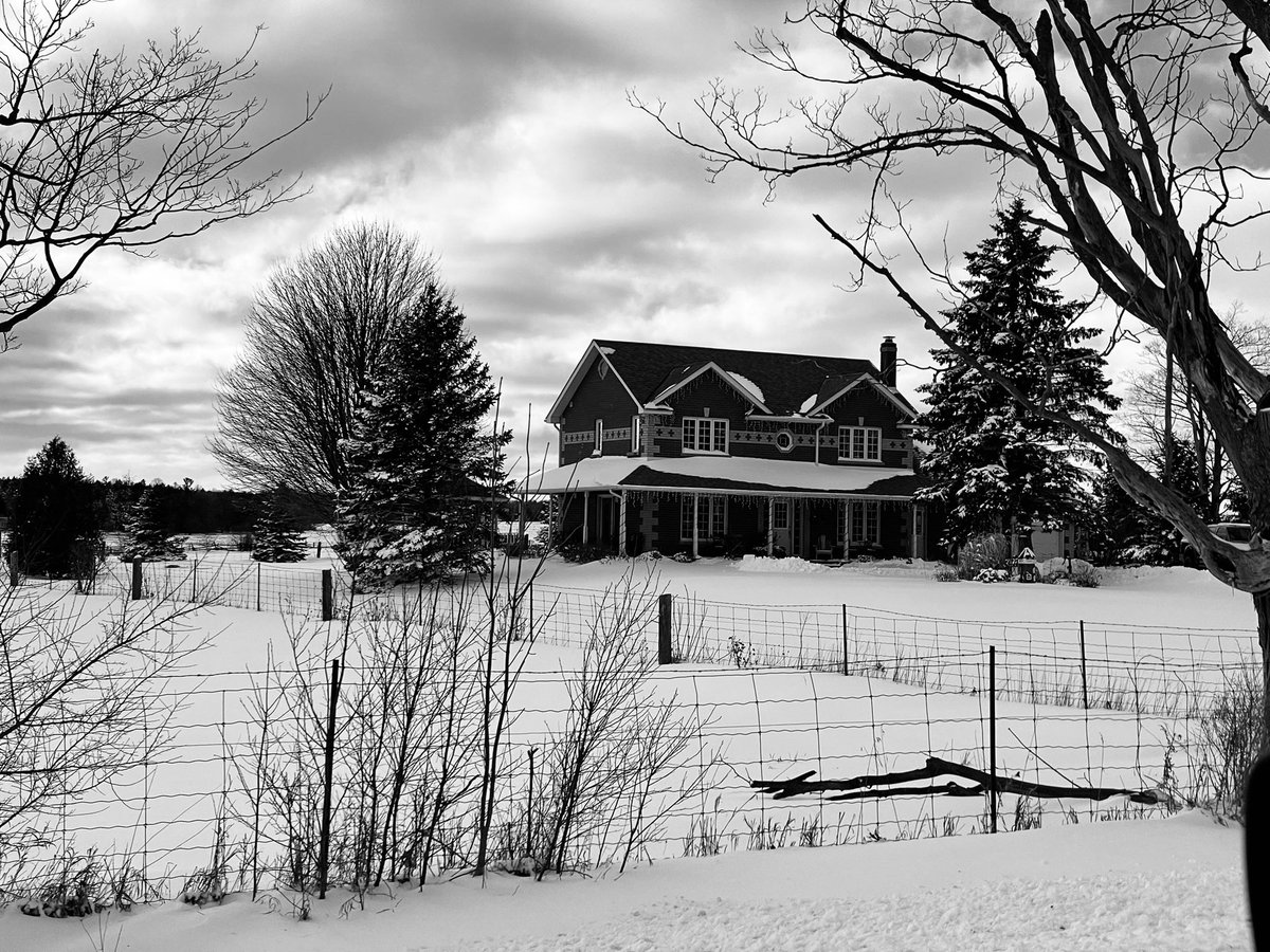 SmileTurn1's tweet photo. #winterpics ❄️☃️📸💙 https://t.co/sveUmSAVhi