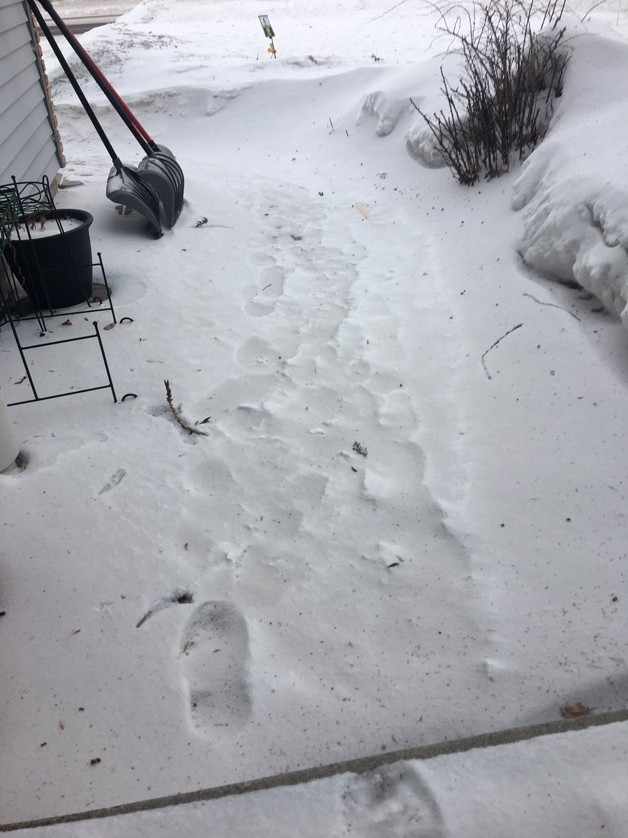 Marisol Berti tweet media