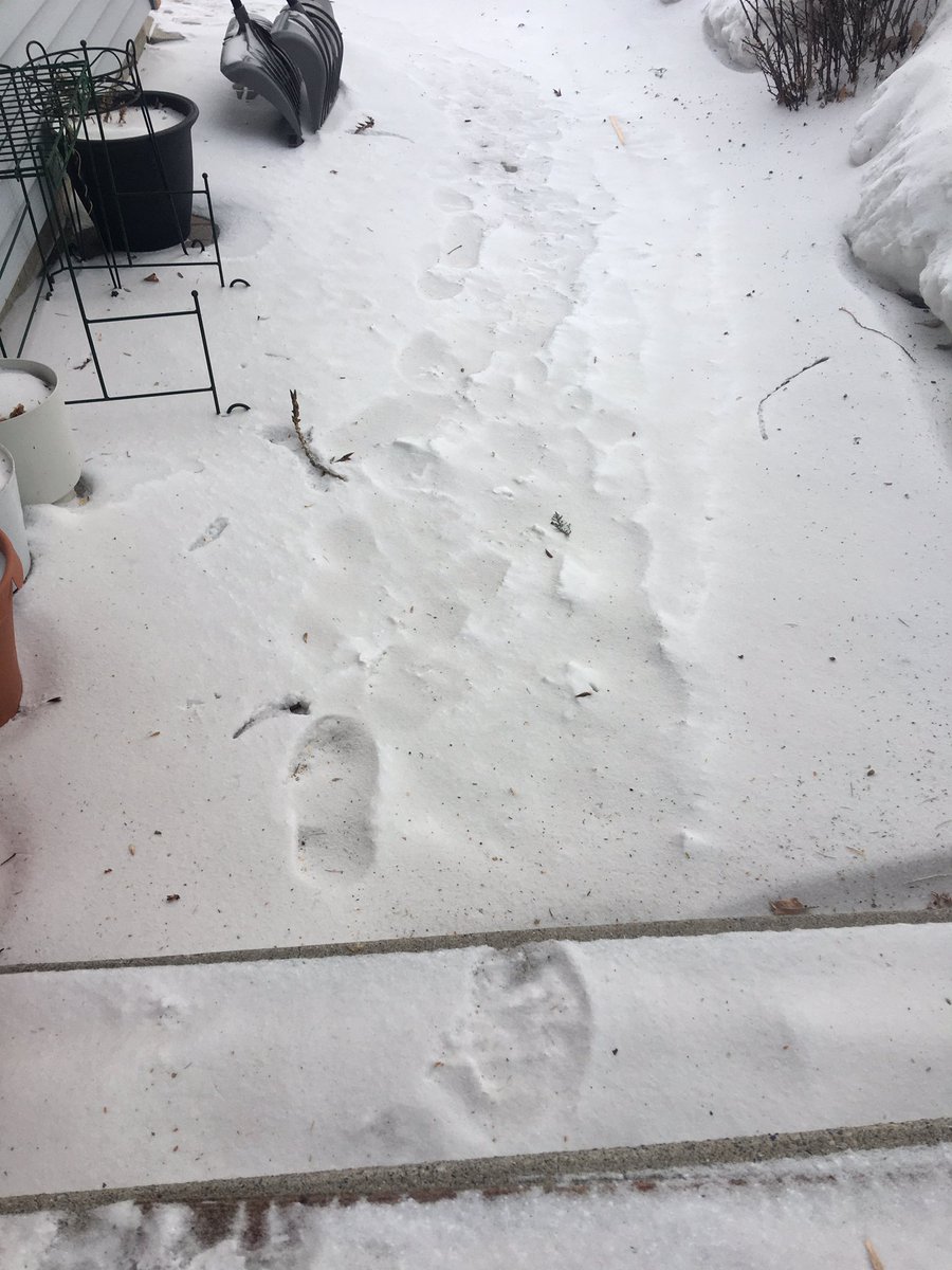 How sad to see all this soil in my entryway!