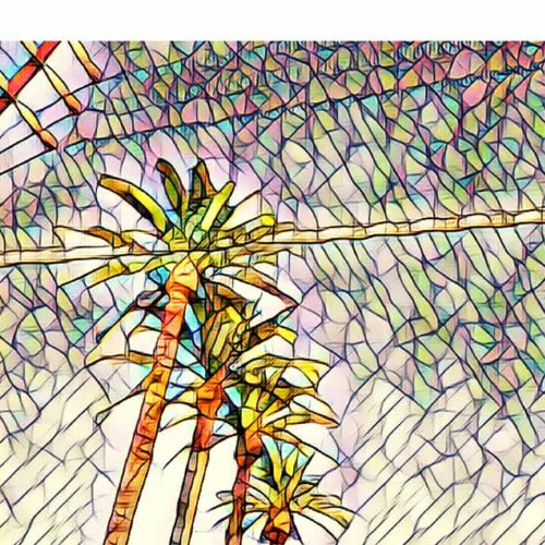 SUNDAY PALMZ 🎨(NFT COLLECTION) tweet media