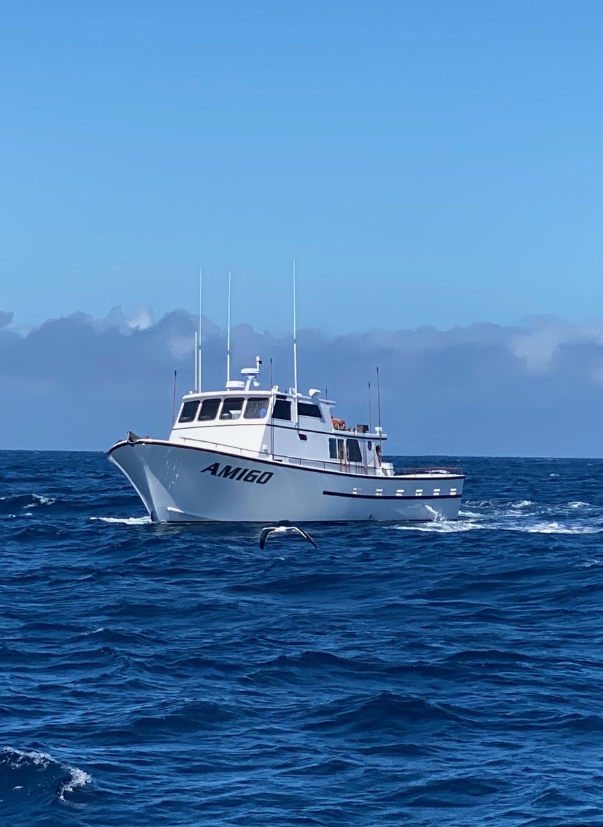 Sportfishing Association of California tweet media