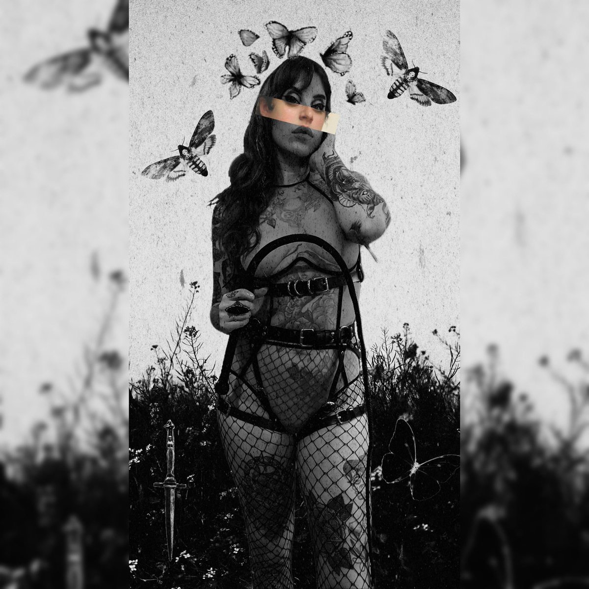 A Step by Step Guide for Recovering your Suspended Twitter Account