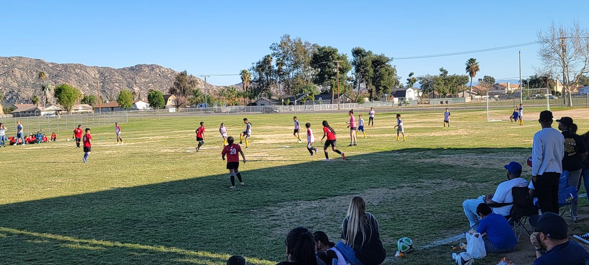 Sem Avena tweet media