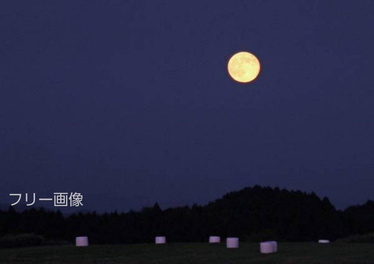 「月の哀歌」 暗い山影 その上の 夜空にゃ丸い お月様 別れるあの子の 横顔を 照らして独り 震えてた 夜空で独りじゃ お月様 淋しかないか 泣かないか あの子も同じさ 今夜から 泣かずに独り 輝くさ やがて欠ける お月様 あの子を哀れと 思うなら 月の女神や かぐや姫 残して行って お月様 #詩紺碧