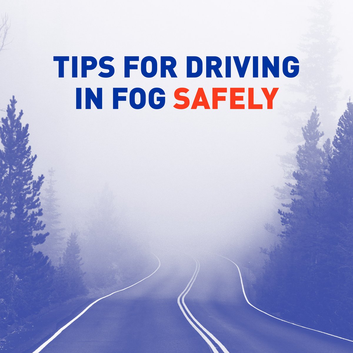 PacificFirstAid's tweet photo. ⚠️   Slow down and allow extra time
⚠️   Never use your high-beam lights
⚠️   Turn your windshield wipers on
⚠️   Leave plenty of distance between you and the vehicle in front of you
⚠️   Follow the lines on the road 
⚠️   In extremely dense fog, pull into a safe location https://t.co/yU7aXUghUS